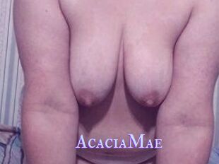 AcaciaMae