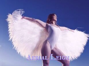 Aerial_Leigh