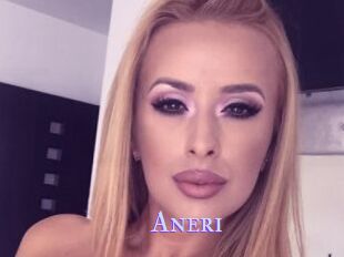 Aneri