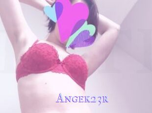 Angek23r