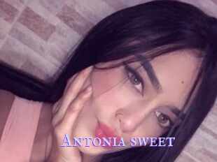 Antonia_sweet