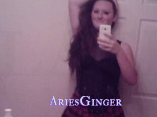 AriesGinger