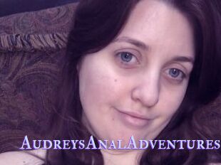 AudreysAnalAdventures