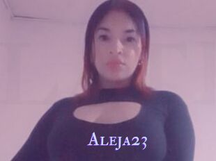 Aleja23