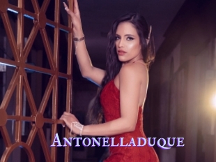 Antonelladuque