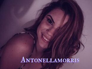 Antonellamorris