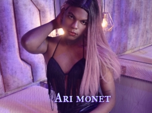 Ari_monet