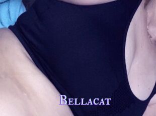 Bella_cat