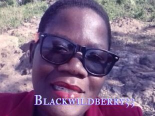 Blackwildberry33