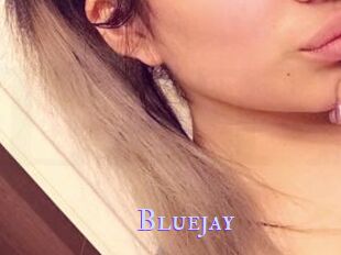 Blue_jay