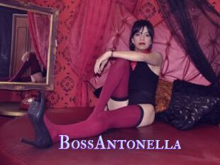 BossAntonella