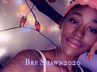 Bre_Shawn2020