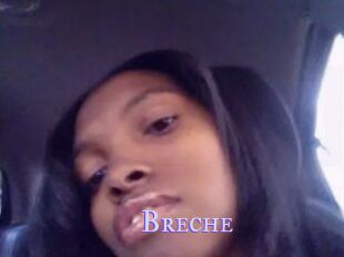 Breche