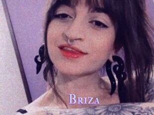 Briza