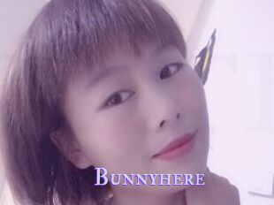 Bunnyhere