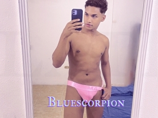 Bluescorpion