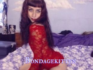 Bondagekitten