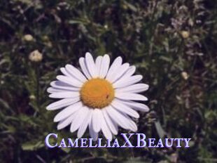 Camellia_XBeauty