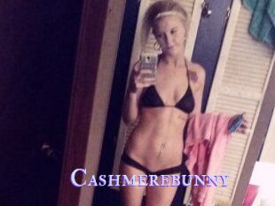 Cashmerebunny