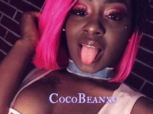 CocoBeanxo