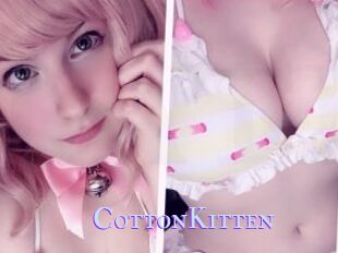 CottonKitten