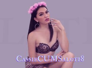 CassieCUMSalot18