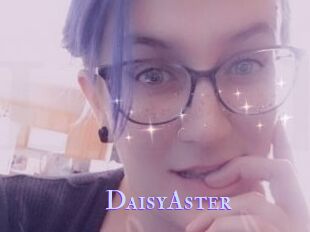 DaisyAster