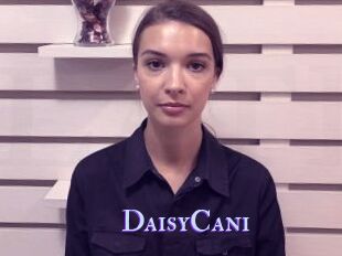 DaisyCani