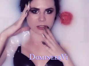 DomineerVi