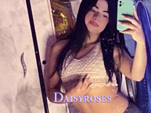 Daisyroses