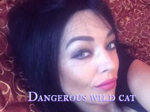 Dangerous_wild_cat