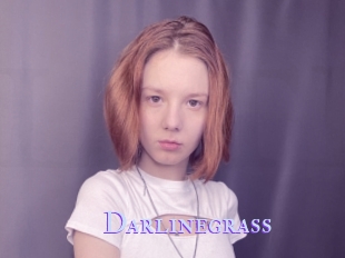 Darlinegrass