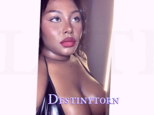 Destinytorn