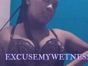 EXCUSEMYWETNESS