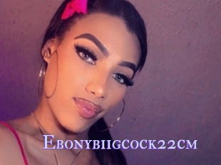 Ebonybiigcock22cm