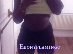 Ebony_flamingo