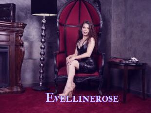 Evellinerose