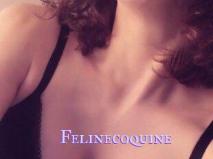 Felinecoquine