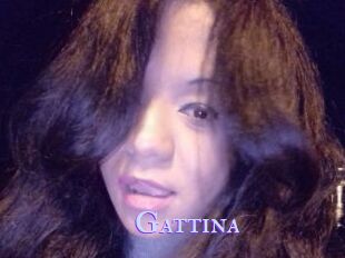 Gattina