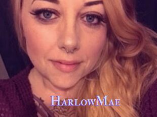 Harlow_Mae