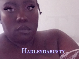 Harleydabusty