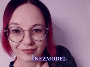 Inezmodel