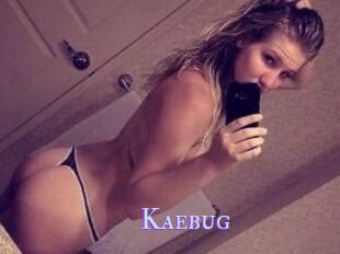 Kaebug