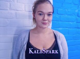 KaliSpark