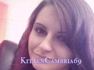 KittenCambria69