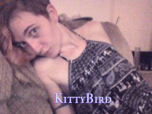 KittyBird