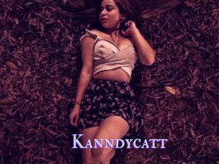 Kanndycatt