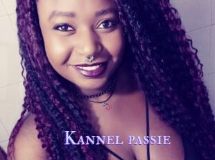 Kannel_passie