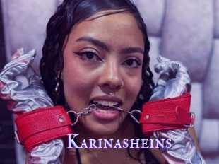 Karinasheins