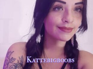 Kattebigboobs